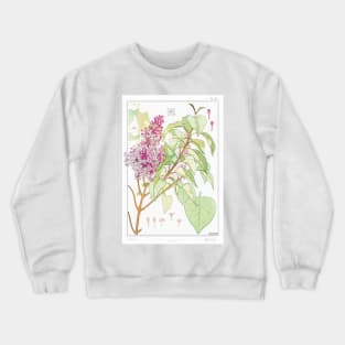 Lilac (1896) Crewneck Sweatshirt